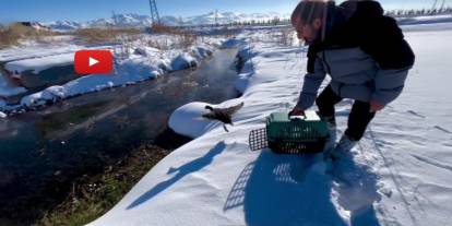 Soğuk hayata mola verdirdi