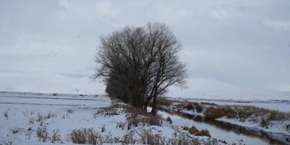 Meteorolojiden kuvvetli fırtına uyarısı