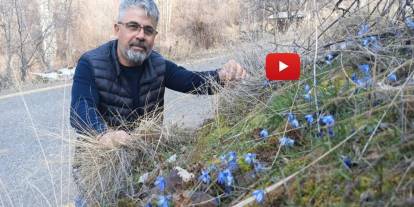 Erzurum'un bir yanı kış bir yanı bahar
