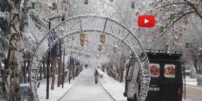 Erzurum'da soğuk havanın etkisiyle ağaçlar kırağı tuttu