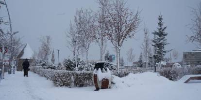 Erzurum'da kar yağışı etkili oluyor