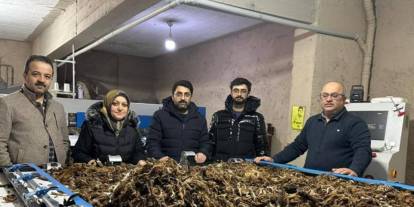 Erzurum’da atık yünler yeşil dönüşümle değer kazanıyor