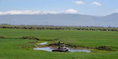 Tarımda önder üretici modeli vurgusu