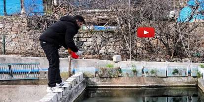 300 bin balık telef oldu