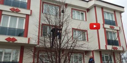 Zabıtadan kurtarma operasyonu