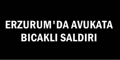 Şüpheli adli kontrolle serbest