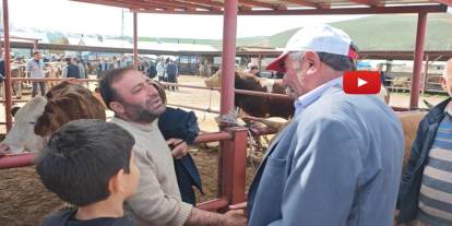 Kurban pazarlarında hareketlilik başladı