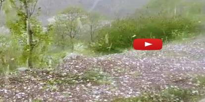 Erzurum'da ceviz büyüklüğünde dolu yağdı