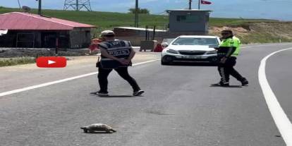 Hınıs'ta yürekleri ısıtan görüntü