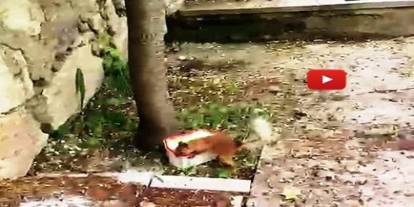 Sincap ile vatandaşın diyaloğu gülümsetti