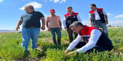 Erzurum’da tarımsal destekler meyvesini veriyor
